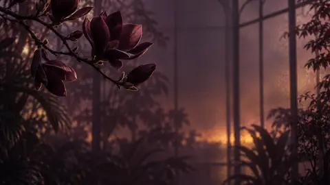 Plum Conservatory MinuFlow background